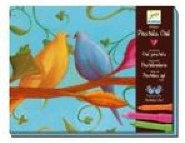 8604 TALLER DE PASTELES GEL DJECO