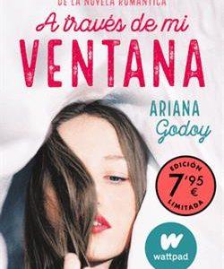 A TRAVES DE MI VENTANA (TRILOGIA HERMANOS HIDALGO