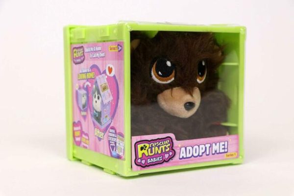 RESCUE RUNTS BABIES VERDE