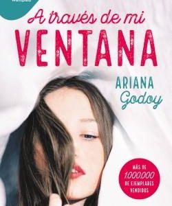 A TRAVES DE MI VENTANA (TRILOGIA HERMANOS HIDALGO