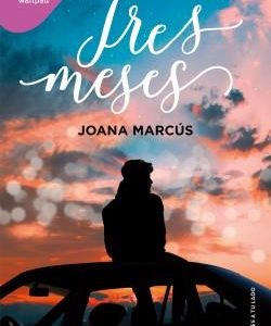 TRES MESES (MESES A TU LADO 3)