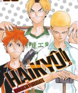15.HAIKYU!!.(MANGA SHONEN)