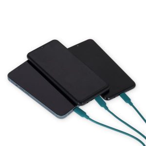CACTUS CABLE 3 EN 1 RECARGA SINCR. LEGAMI