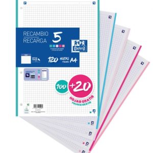 RECAMBIO 5 MULTICOLOR A4 100+20H 90G 4 T CUAD. 5X5 C.PASTEL
