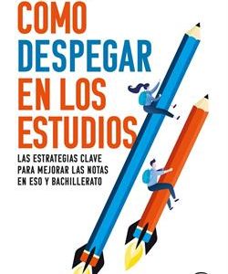 COMO DESPEGAR EN LOS ESTUDIOS