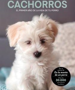 CACHORROS