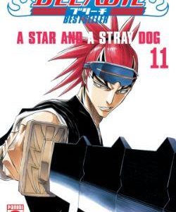 BLEACH BESTSELLER 11 - A STAR AND A STRAY DOG