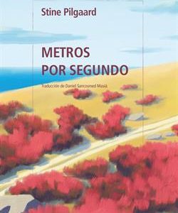 METROS POR SEGUNDO