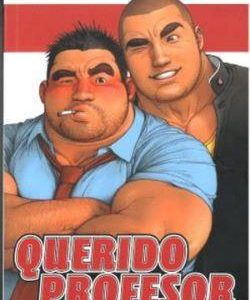 QUERIDO PROFESOR