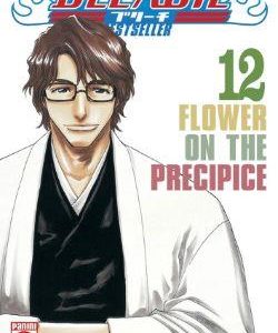 BLEACH BESTSELLER 12 - FLOWER ON THE PRECIPICE