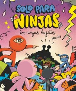 SPN.6 LOS NINJAS BAJITOS