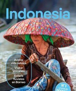 INDONESIA 6