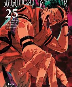 JUJUTSU KAISEN 25