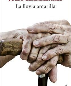 La lluvia amarilla