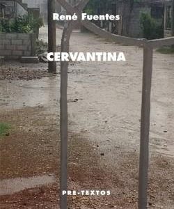 Cervantina